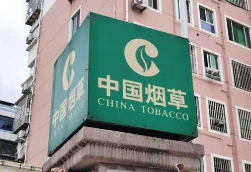 新疆煙草局校招開啟 擴(kuò)招名額，高中起點(diǎn)，專業(yè)不限，軟件開發(fā)崗位吸引貴州學(xué)子